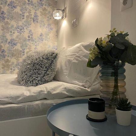 Downtown Mini Apartment 布达佩斯 外观 照片
