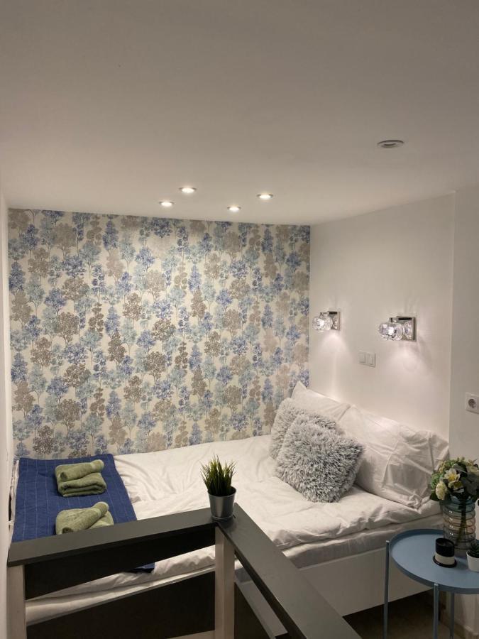 Downtown Mini Apartment 布达佩斯 外观 照片