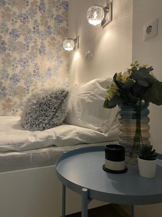 Downtown Mini Apartment 布达佩斯 外观 照片